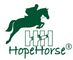 QINGDAO HOPE HORSE TRADE CO., LTD.