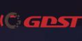 Wuhu GDST Auto Parts Co., Ltd.