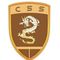 Guangzhou CSS Auto Accessones Co.,Ltd