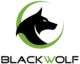 Shandong Blackwolf Machinery Co., Ltd.
