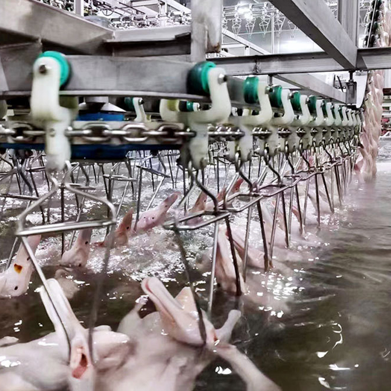 Линия для убоя птицы Halal TCA FD-1000