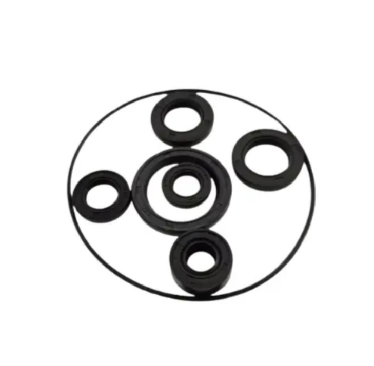 Motorcycle Spare Parts Scooter Motorcycle Engine Oil Seals Kits with O-Ring for CD110