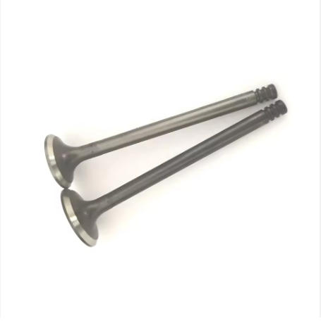 Впускные клапана двигателя BMW M50 M40 M70