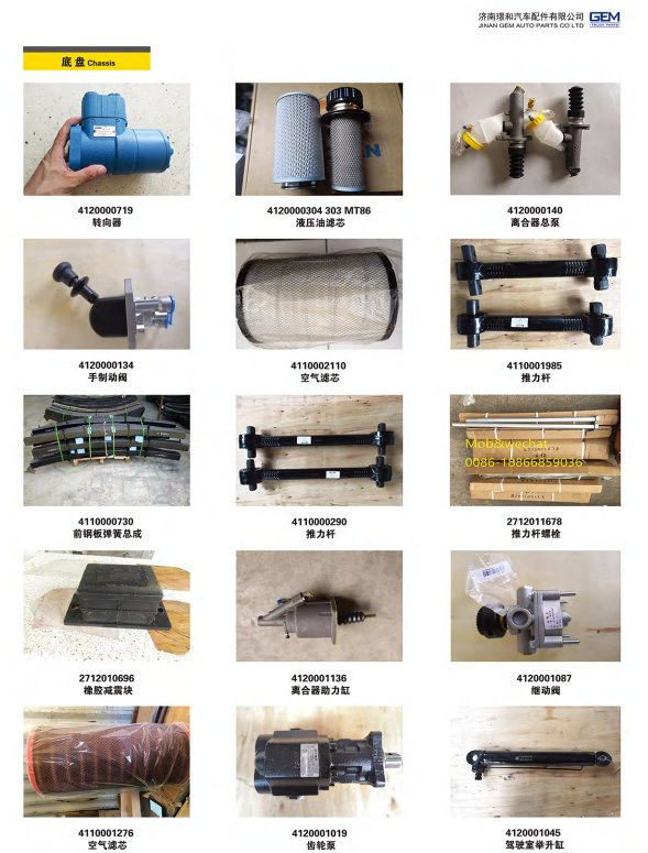 Gem High Quality Shock Absorber 85029010077 for Tonly Truck Tl875