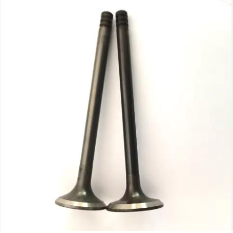 Впускные клапана двигателя BMW M50 M40 M70