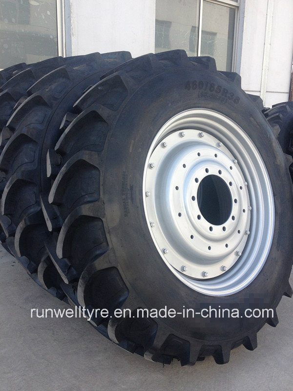 Bias and Radial Agricultural Tire 6.00-12 6.00-16 7.50X16 8.3-24 12.4-24 14.9X28 16.9-24 16.9r30