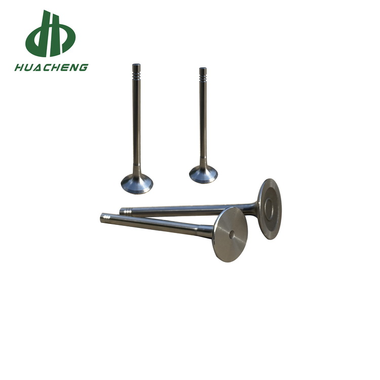 Впускной и выпускной клапан двигателя VW EA888