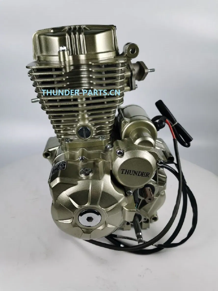 Quality Motorcycle Gas Engine and Spare Parts for Scooter/Dirt Bike/Tricycles/Cg125 Cg150/Cg200/Cg250/Cg300/Gy6-125/150/70cc/90cc/110cc/125cc/200cc/250cc