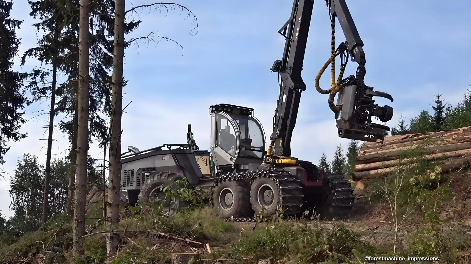 Forestry Tyre 30' 34' OTR Tyre/OTR Wheel for Skidder/Forest Tractor