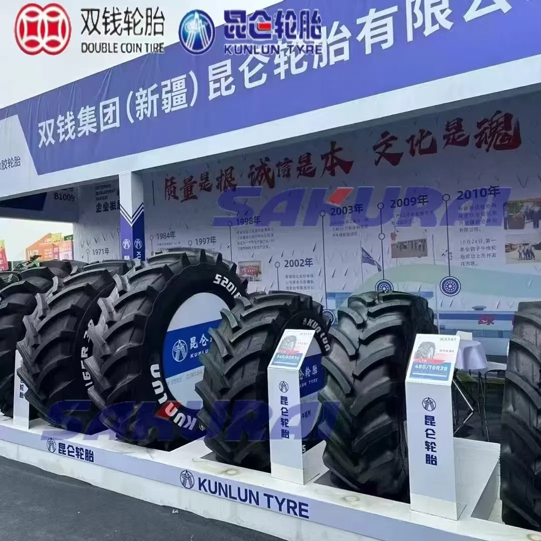 Double Coin/Kunlun 8.25-16/8.25-16/8.25-20 Truck Tires OTR Tires