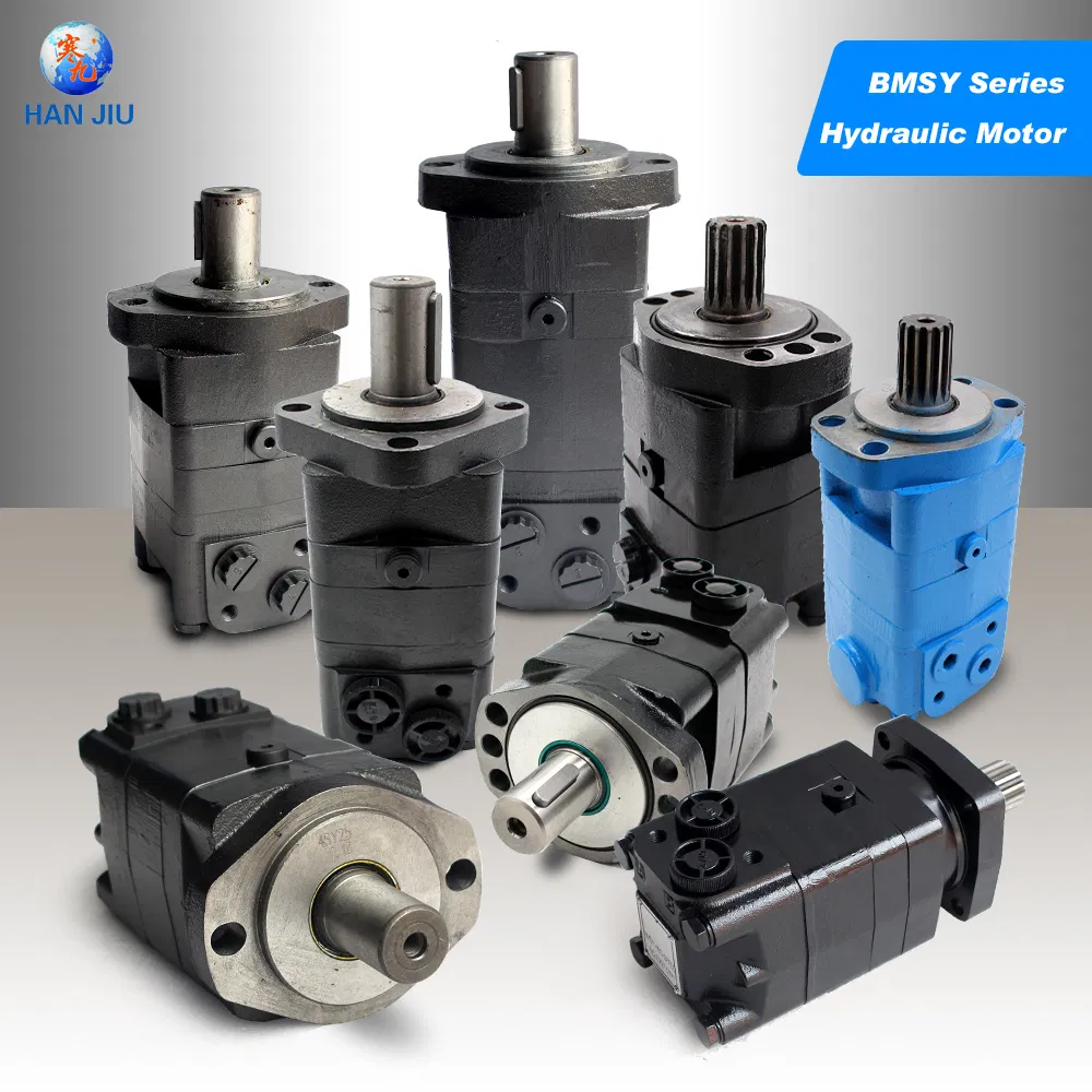 Hydraulic Wheel Motor with Brake Bmsw / Omsw Hydraulic Spare Parts