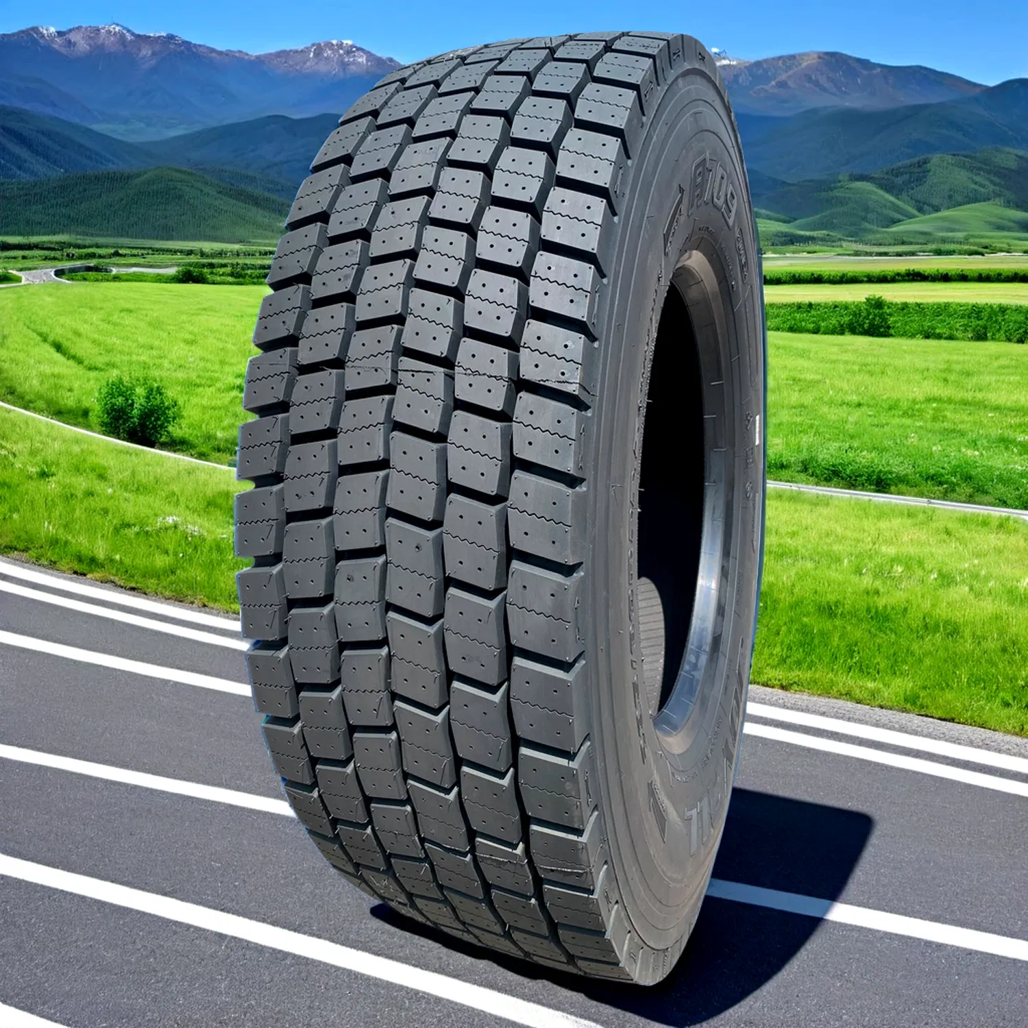 Customized 22PR JOYALL According to Customer Requests 295/80R22.5 Truck Tire