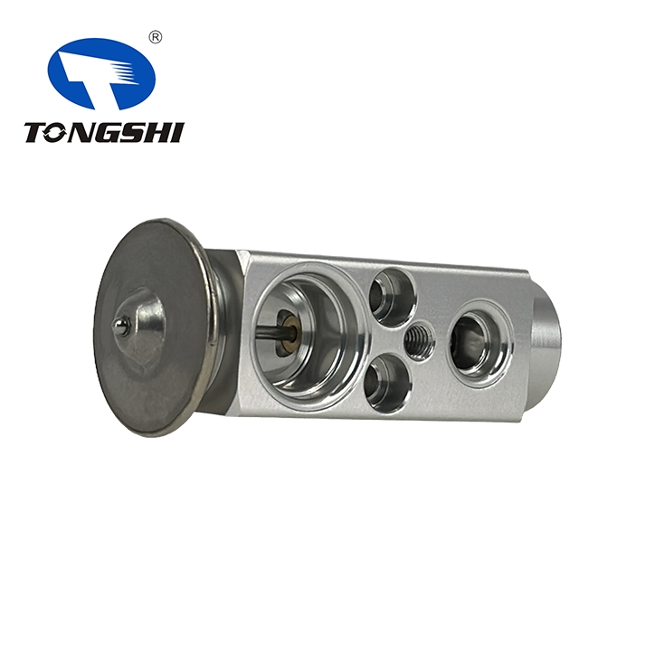 Расширительный клапан для BMW 7 серии E65/E66