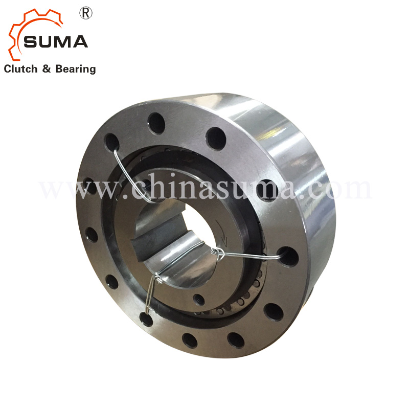 One Way Clutch Backstop (RSCI 20-130)