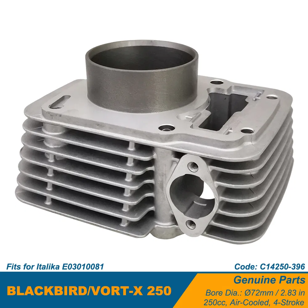 Цилиндр двигателя для мотоцикла Italika Vort-X 250