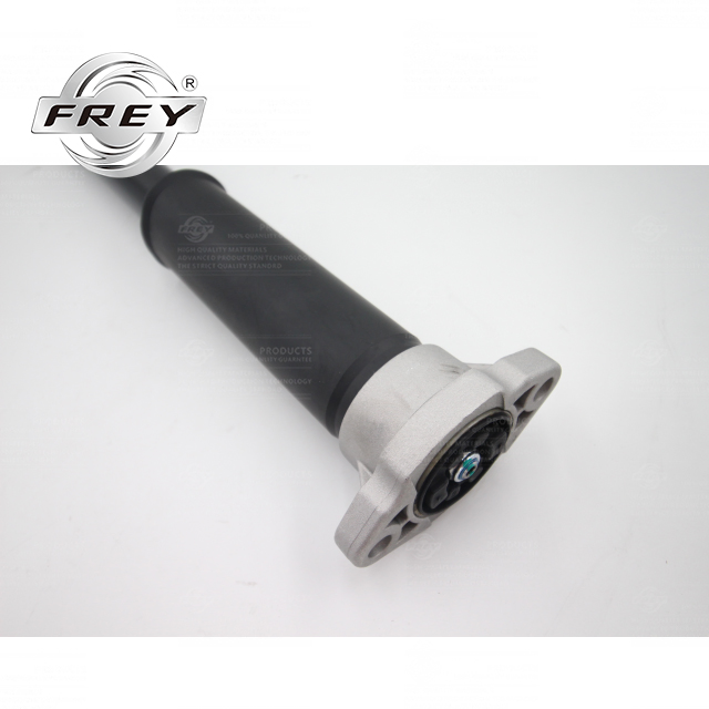 Frey Auto Parts Shock Absorber, Rear 2133200830 for W213