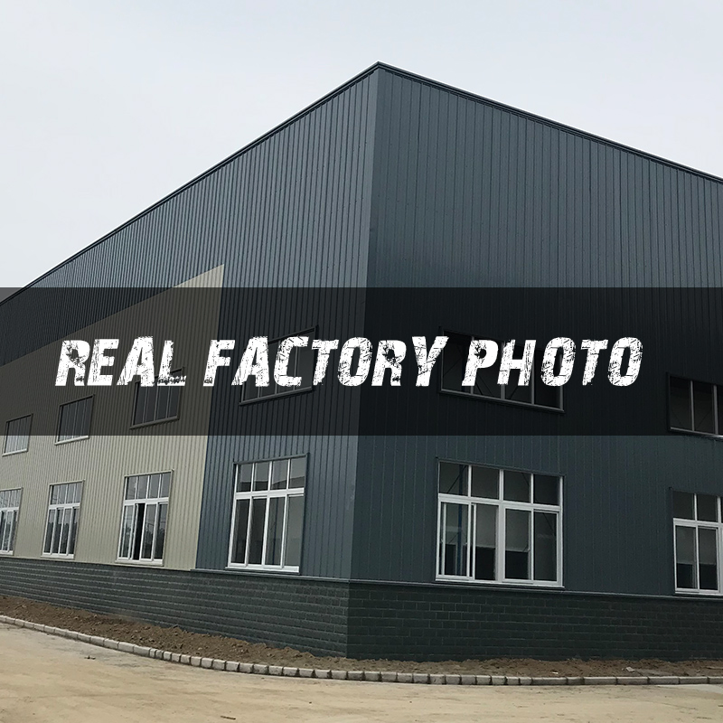 Опора стойки 1350789080 для Citroen Jumper, FIAT Ducato, Peugeot Boxer