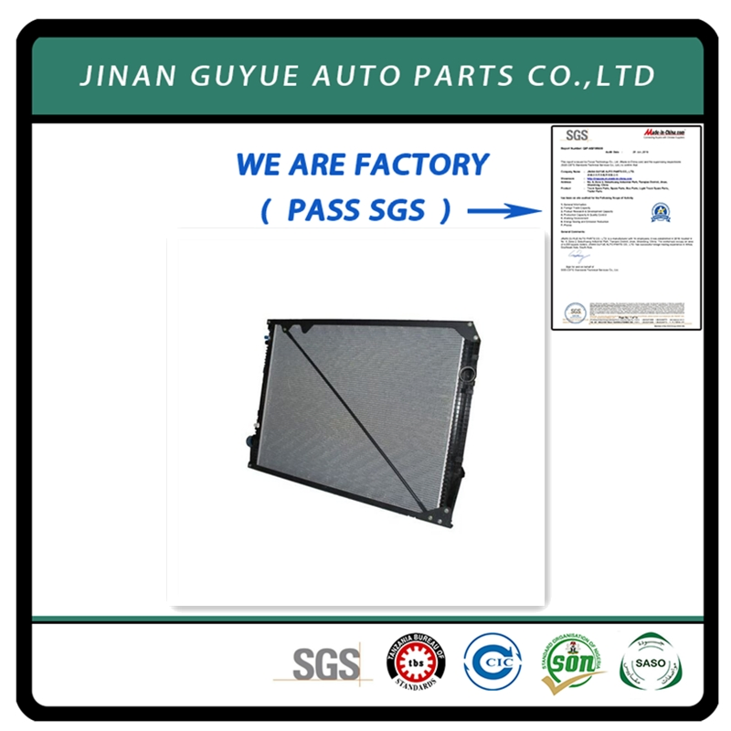 A9425001203 Radiator Used in European Benz Man Daf Renault Hino Izusu Mitsubishi
