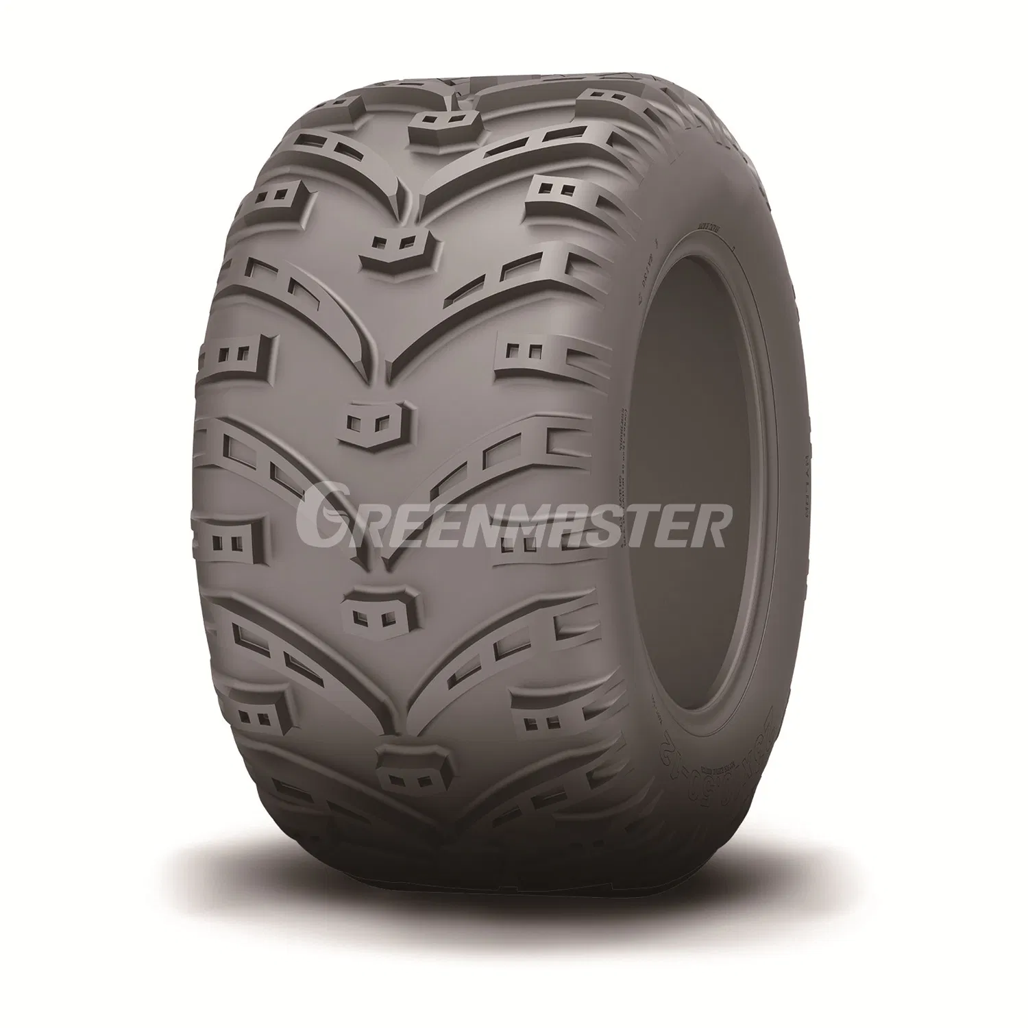205/65-10 20*10.00-10 20X12.00-10 20X7.00-10 20X8.00-10 Lawn and Garden Riding Mower Tire, Golf Cart Tyre, Snow Blower Thrower Tyre with Wheel Rim