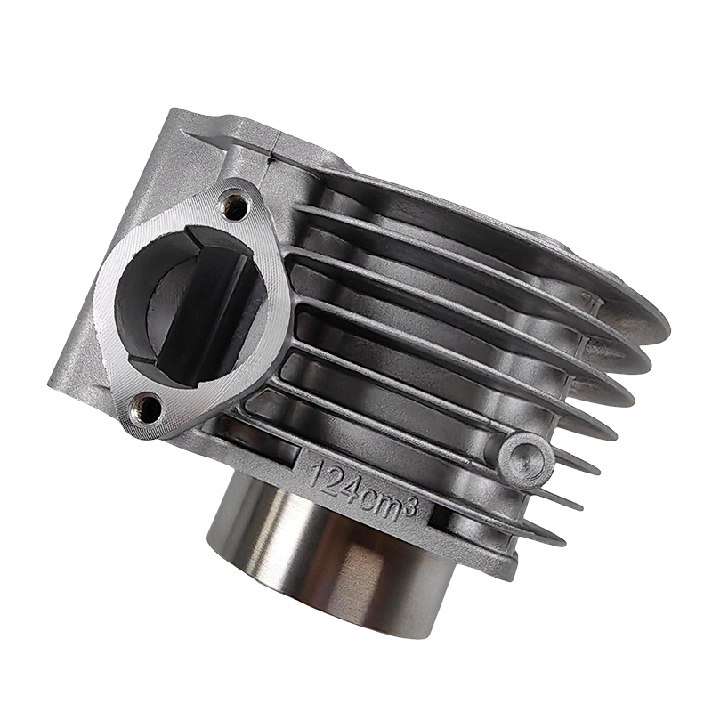 Motorcycle Engine Block CS125 Ds125 Cylinder Kit for Italika 125cc Scooter Motorcycle