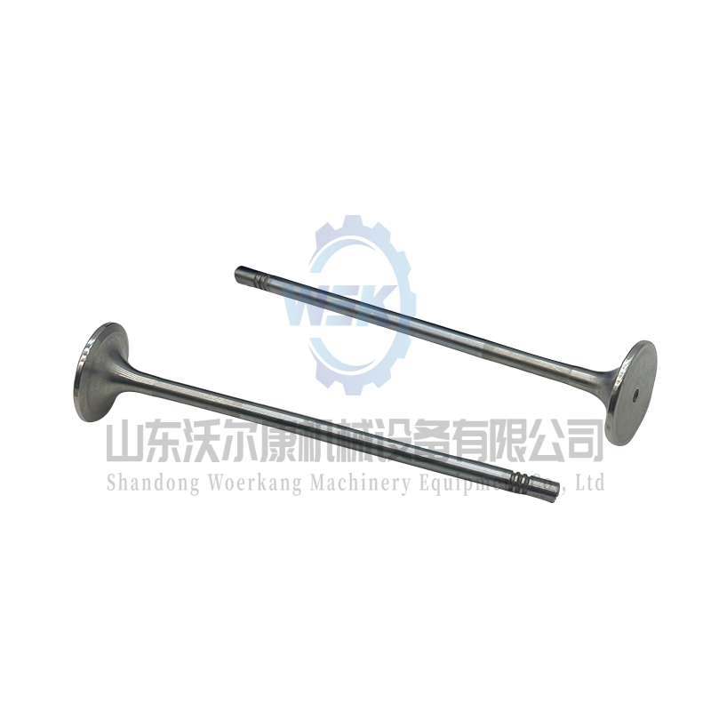 Впускной клапан двигателя 21016539 20768519 для Volvo D13, Tad1340ve