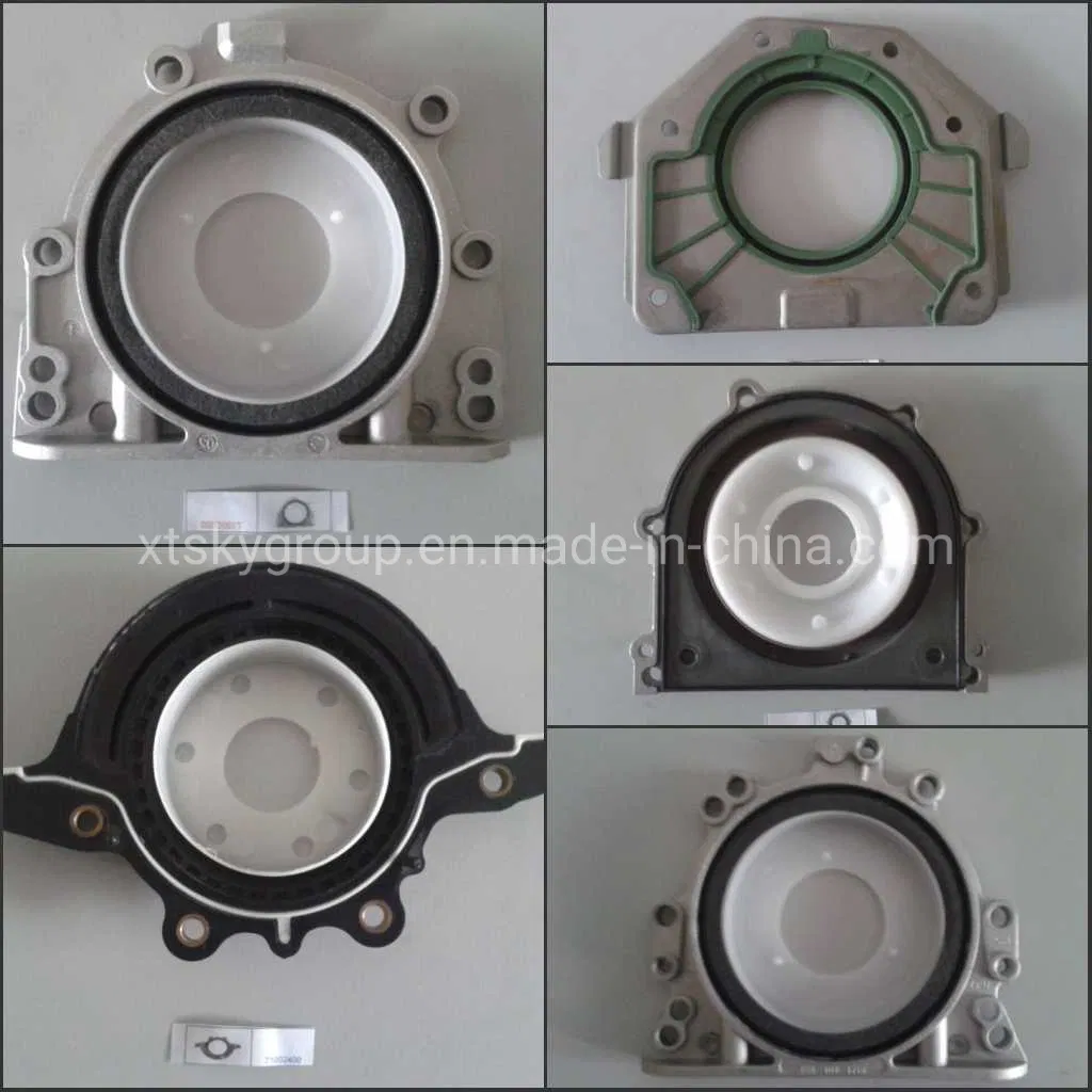 Xtsky High Quality Oil Seal 85*110*16