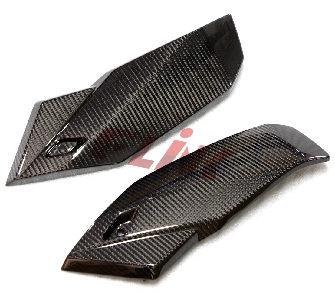 100% Full Carbon Fiber Part Motorcycles Accessories Side Panels for BMW S1000r 2021+