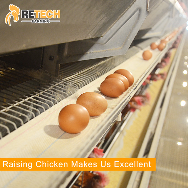 Автоматическая батарейная клетка для кур-несушек