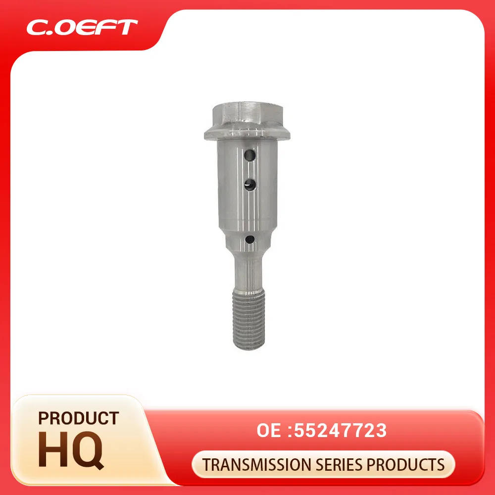 C. Oeft Auto Parts 55247723 Oil Control Center Screw for FIAT Jeep