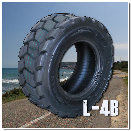 OEM for XCMG Industrial Tire/Forklift Solid Bias Tyre/ Excavator Tires L-4b