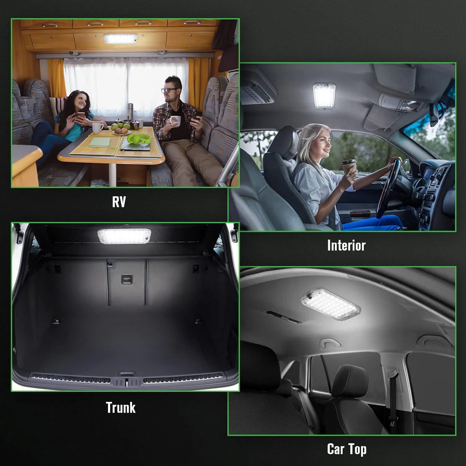 Светодиодные лампы для авто Raych, 48 LED, универсальные