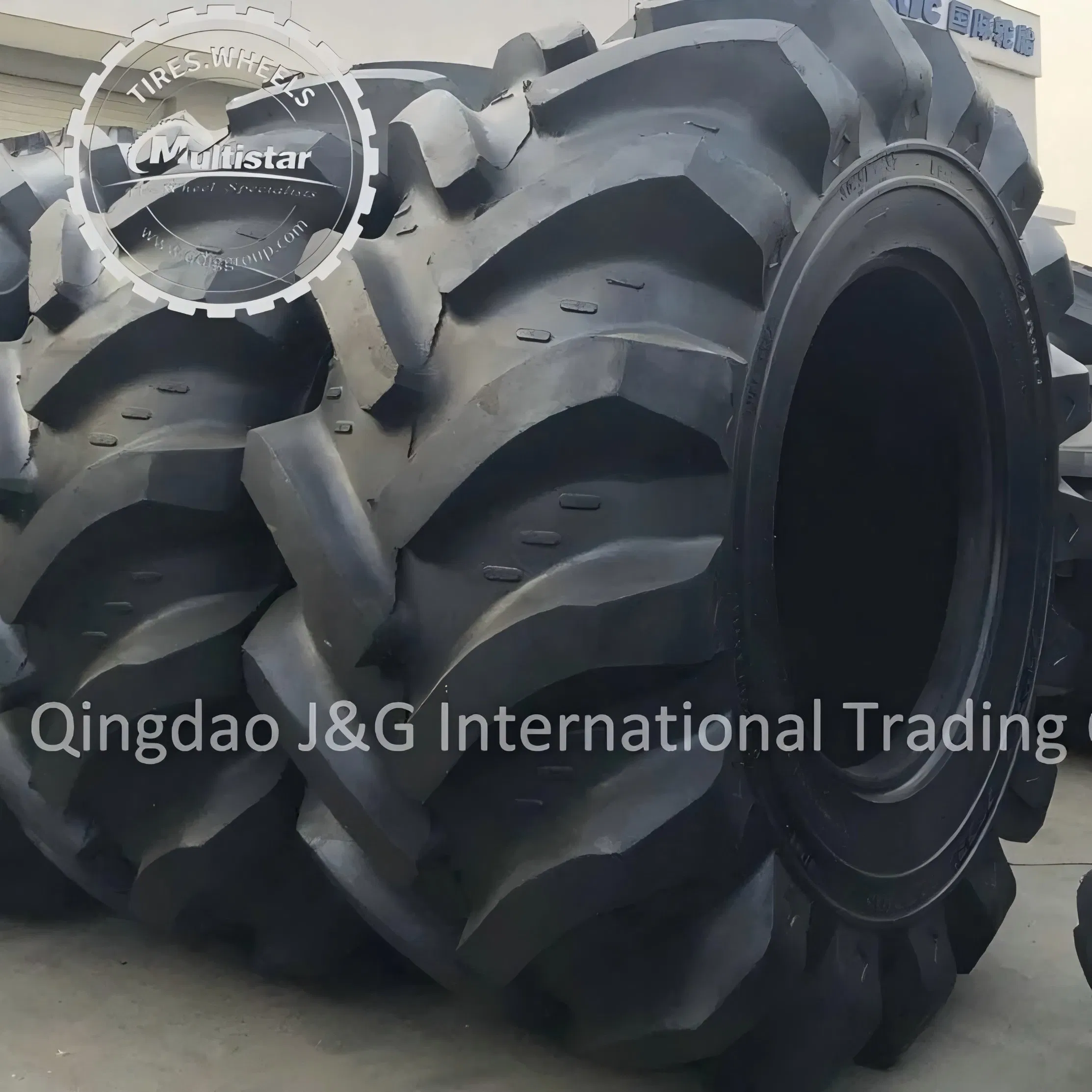 Forestry Ls-2 Steelfex and Terra Flotation Tire