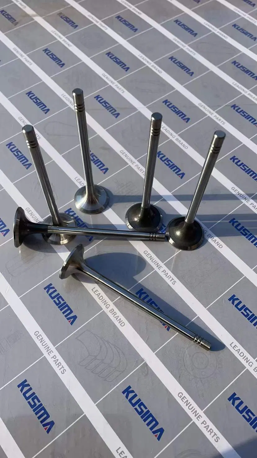 Клапан двигателя для Land Rover 204DT, 204DTD, 204DTA