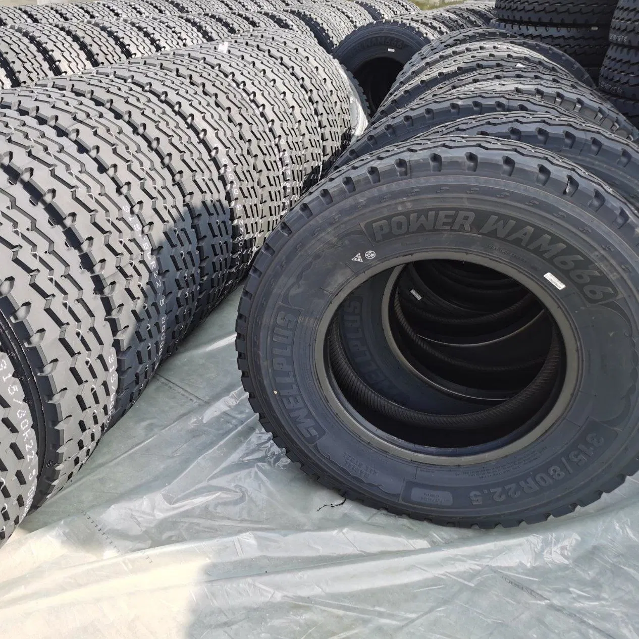 Wellplus Tyre Made in Thailand Good Price TBR Trailer&Steer&Drive for European Market