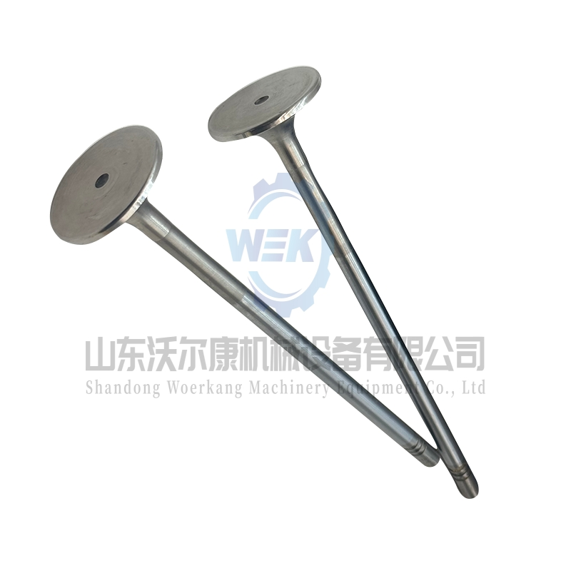 Впускной клапан для двигателей Volvo D13 и Tad1340ve