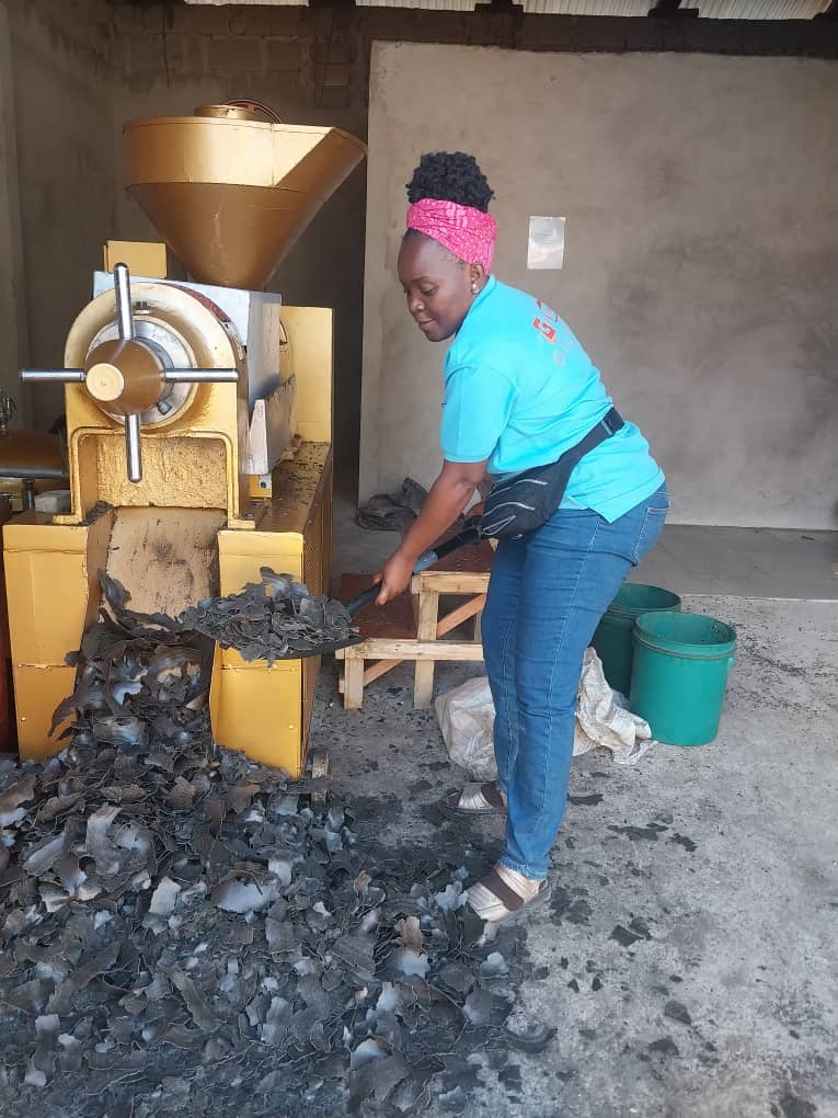 Маслопресс комбинированный Guangxin для подсолнечника