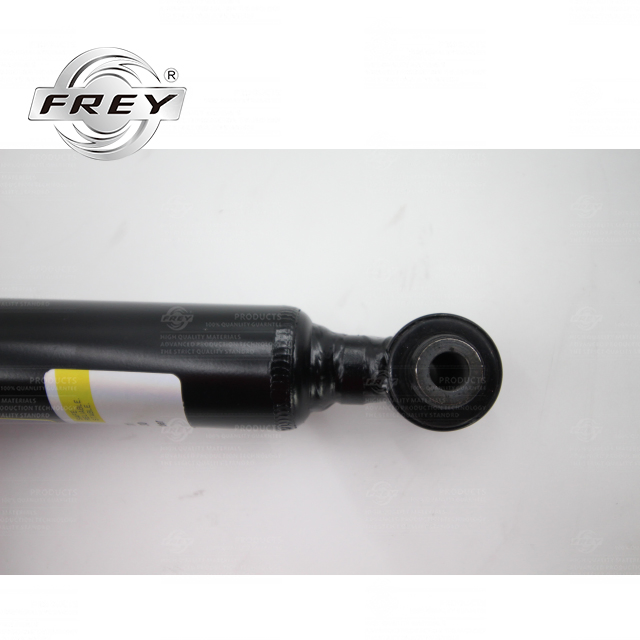Frey Auto Parts Shock Absorber, Rear 2133200830 for W213
