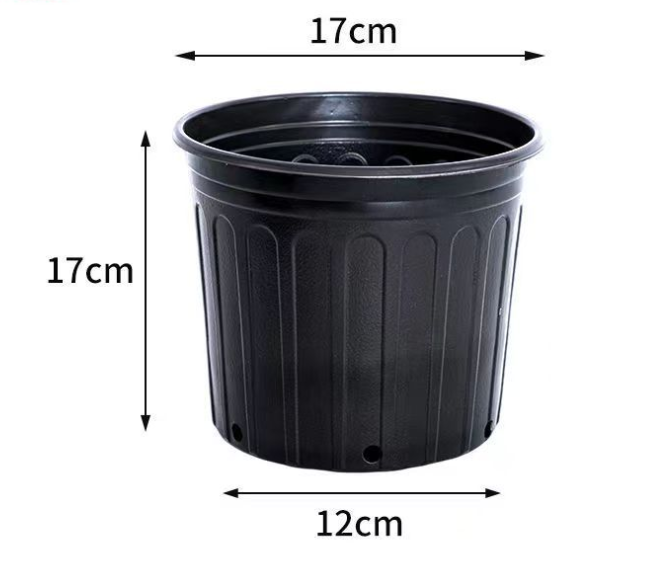 1, 2, 3, 5 галлонов