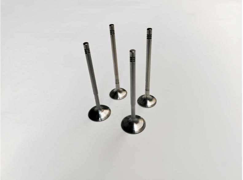 Клапан двигателя 058109601c 058109611e для Audi, Volkswagen, BMW