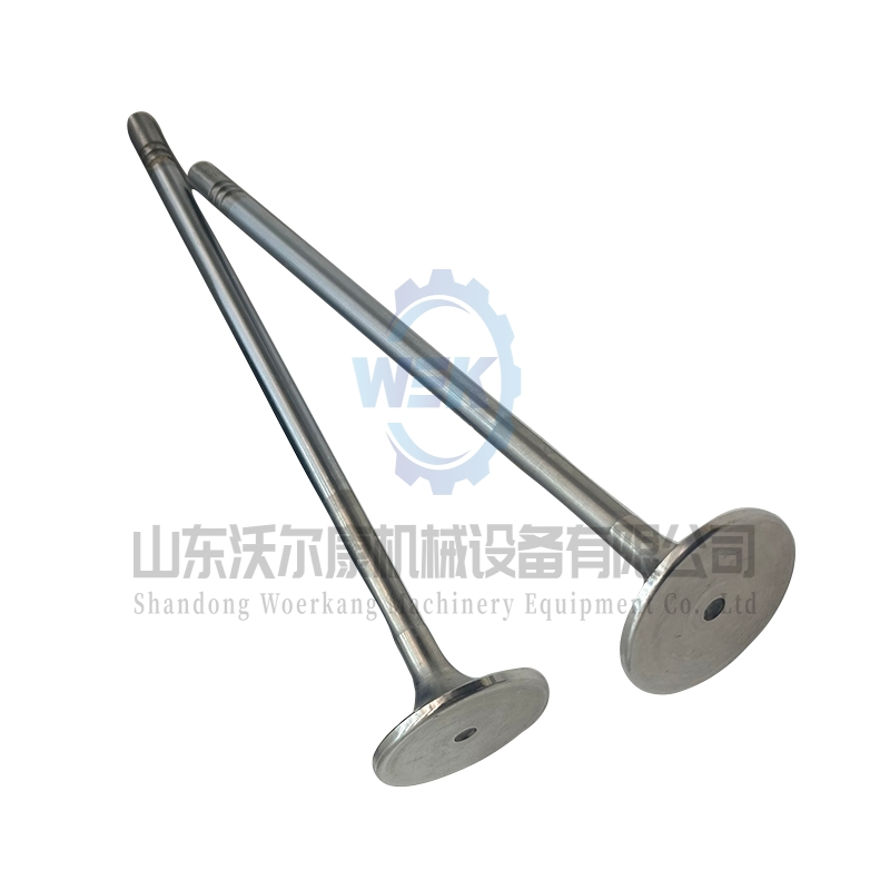 Впускной клапан для двигателей Volvo D13 и Tad1340ve