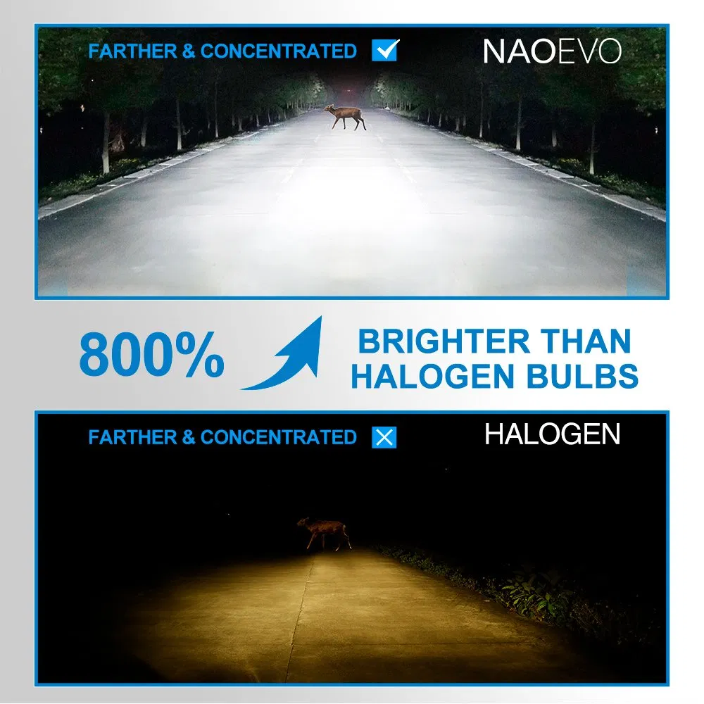 LED-лампа для фар Saga 200W H11/H4/H7/9005/9006