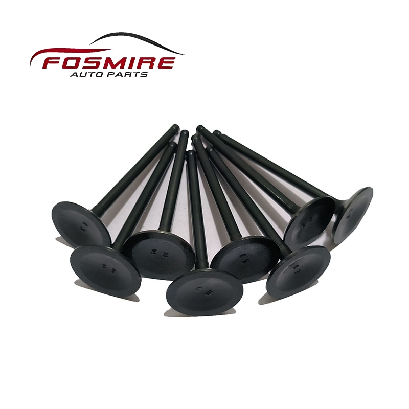 Впускной клапан 1003202GE для JAC S5