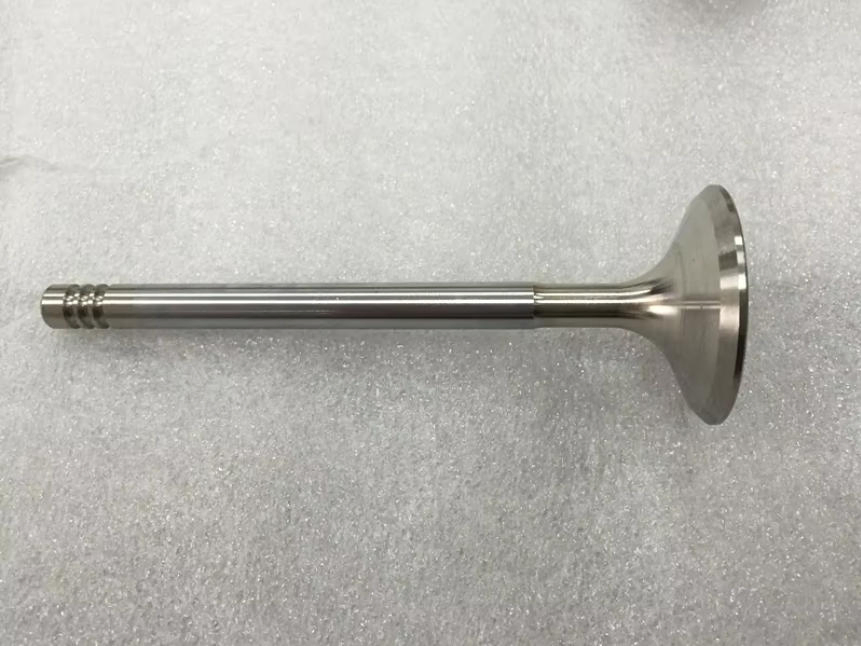 Впускные клапана двигателя BMW M50 M40 M70