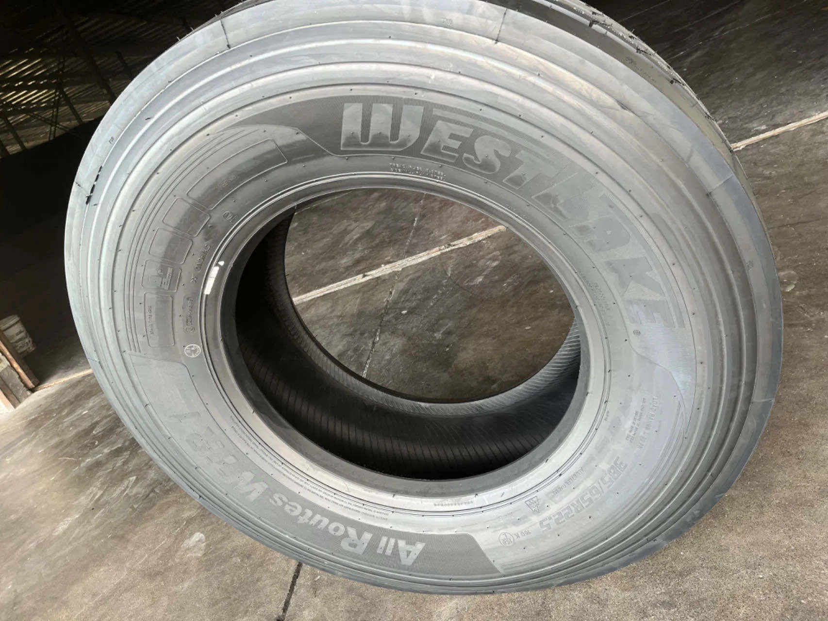 New Arrival Mining Truck Tires 750 16 11r22.5 for Algeria