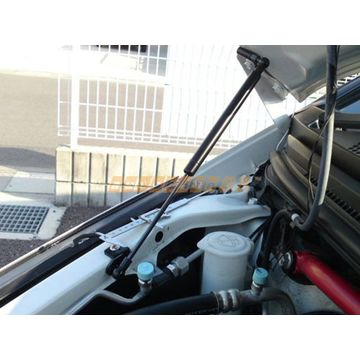 High Quality Electrostatic Flocking Spring Liftgate Gas Strut Spring