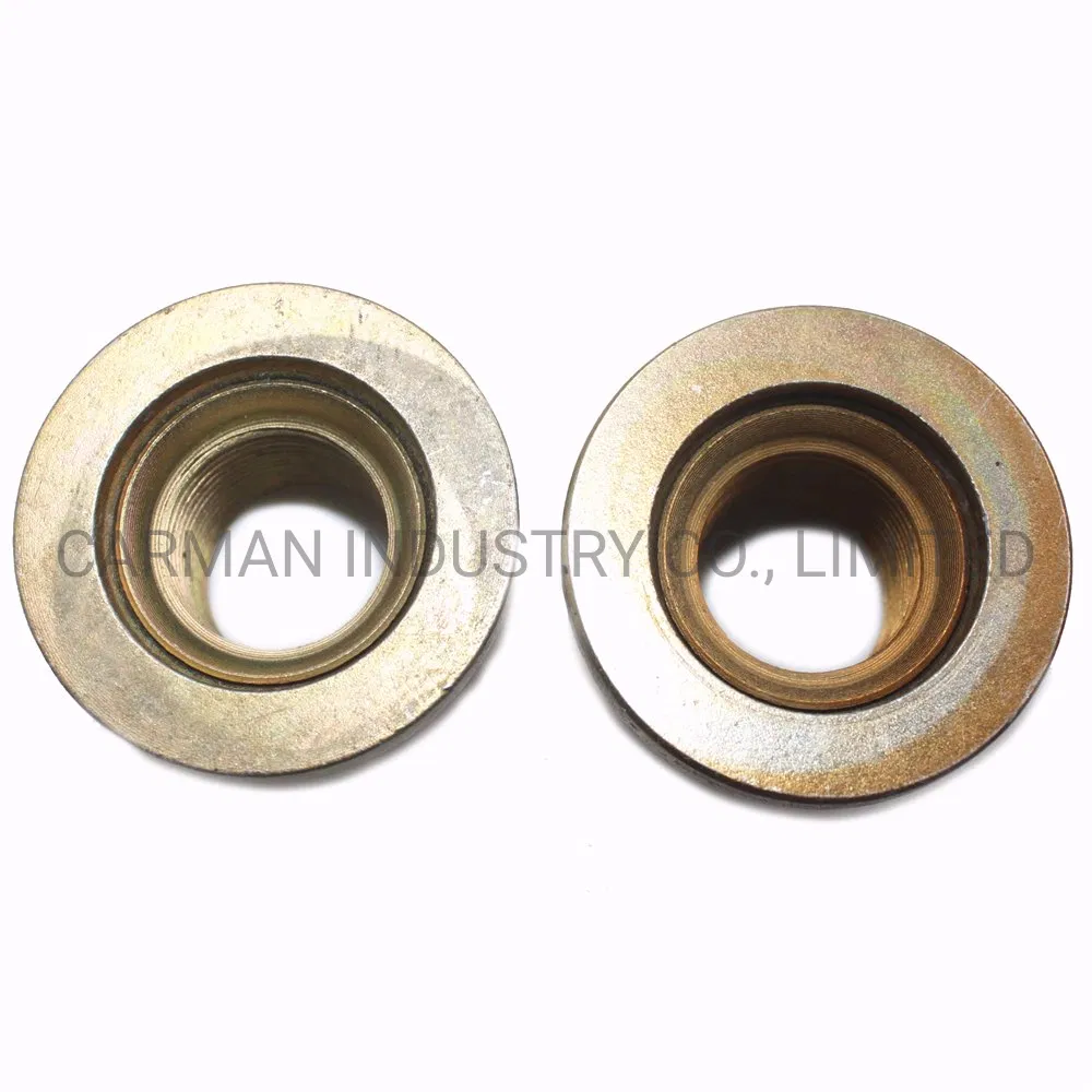 Original Dz95189611300 Wheel Nut for Shacman F2000 F3000 Xm 3000