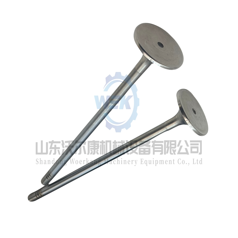 Впускной клапан для двигателей Volvo D13 и Tad1340ve