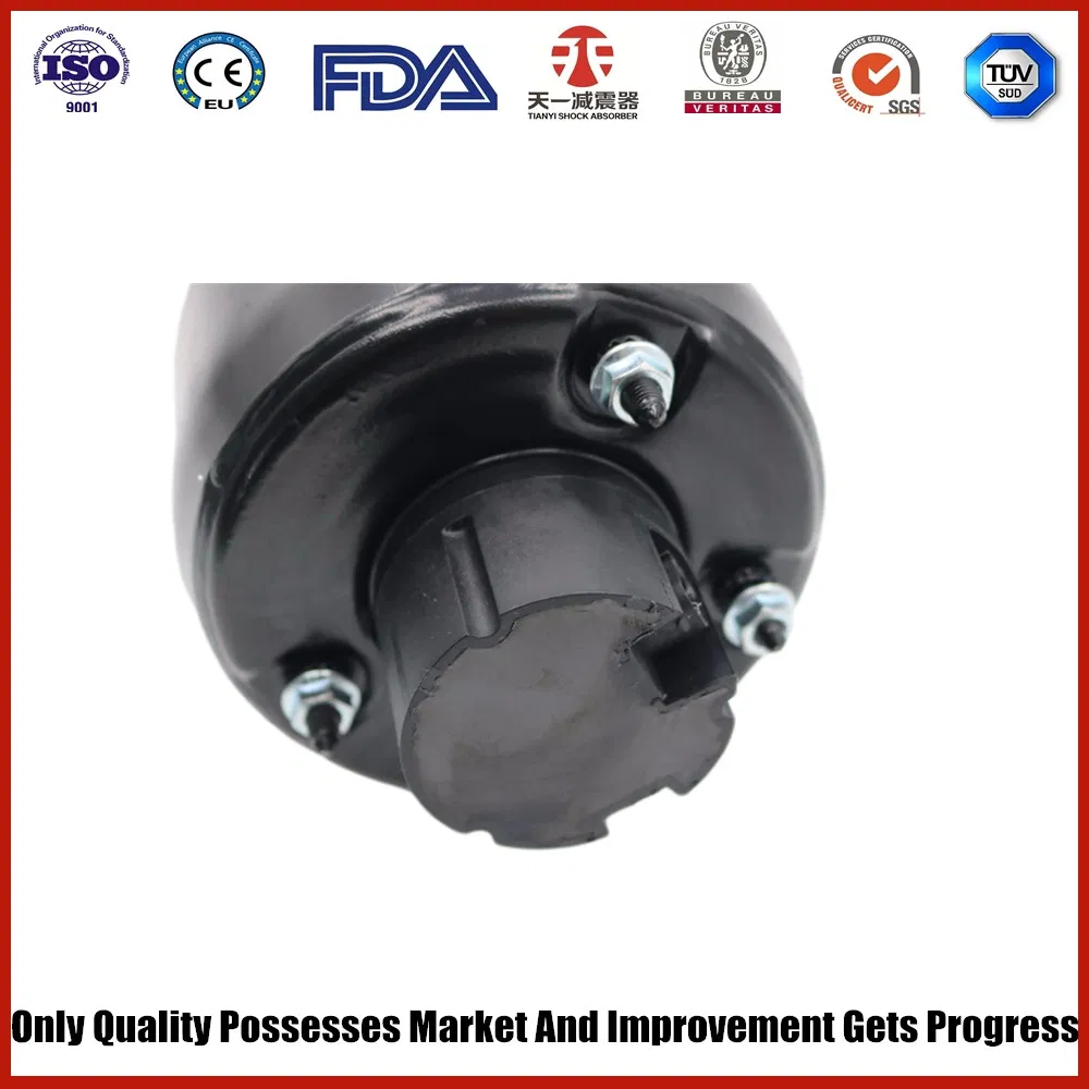 Air Suspension for Mercedes Benz E-Class (W211/S211) Left Front