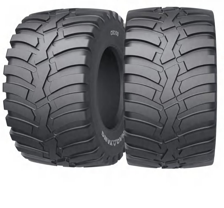 Agricultural Tire Agr Radial Tires Harvester Tractor Flotation Tires R1w 520/85r42 (20.8R42) 480/80r38 480/80r42 480/80r46 12.4r54 320/90r50