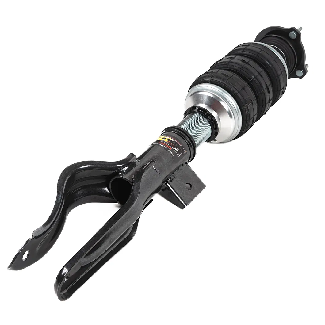 High-Performance Adjustable Air Struts for Tesla Model 3